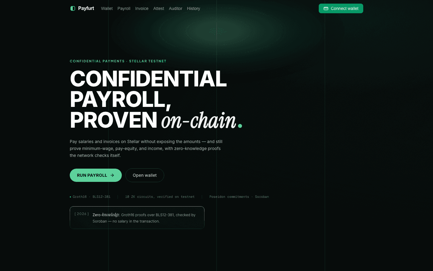 Payfurt homepage preview